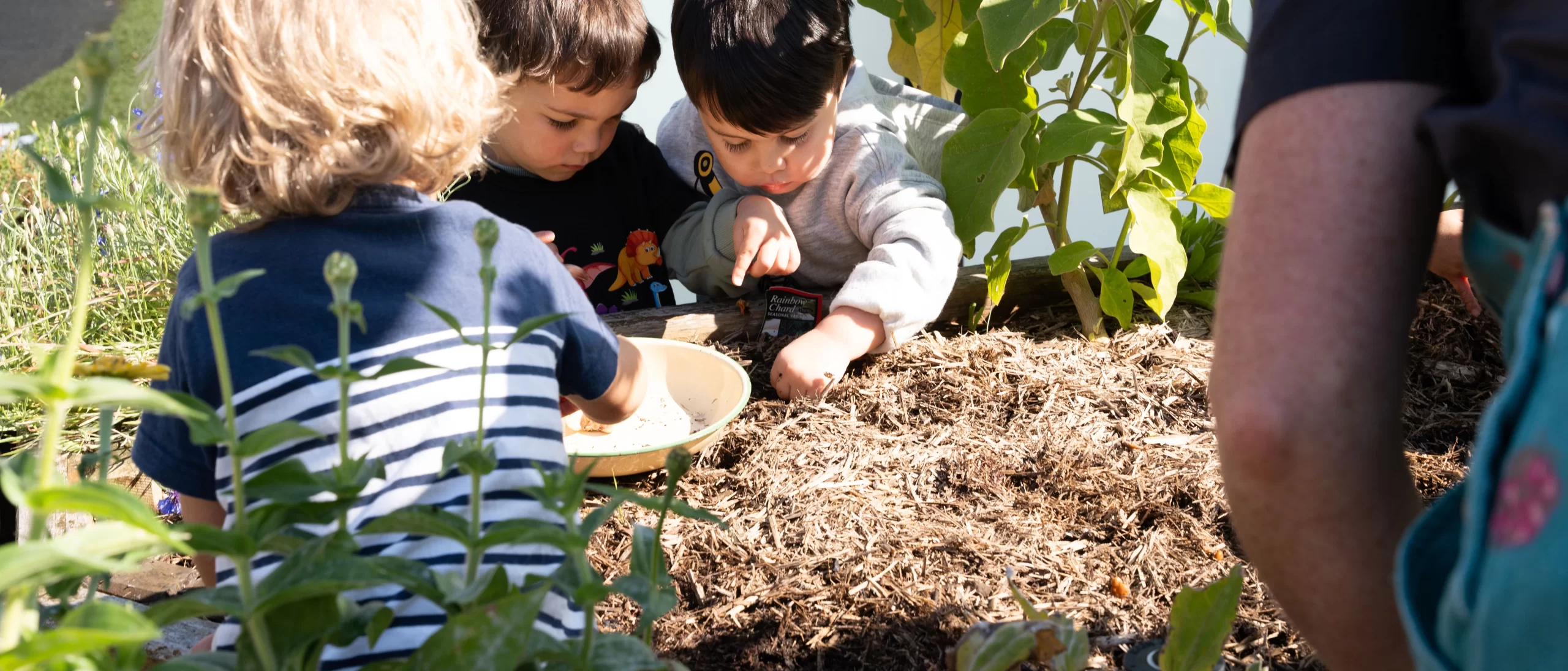 Image of our Fitzroy outdoor space with sandpit and cubby house